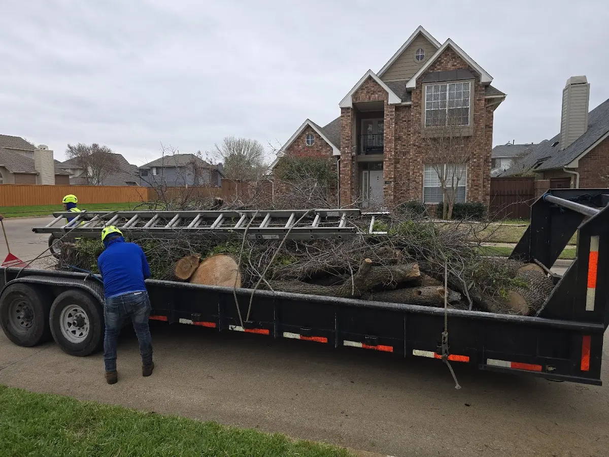 Expert Lot Clearing with proper safety equipment in Cocoa Beach